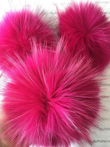 Pompon Rose flash
